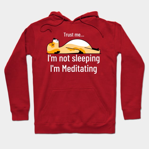 Yoga : Trust Me I am not Sleeping I am Meditating Hoodie by AntsCode Art Studio